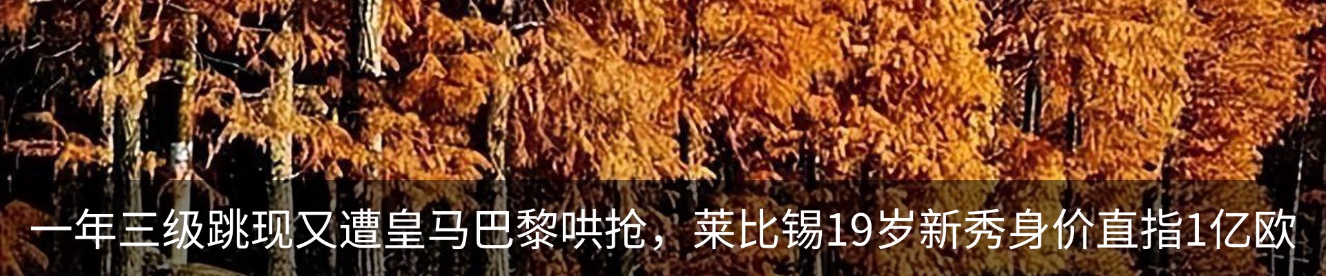 行业资讯