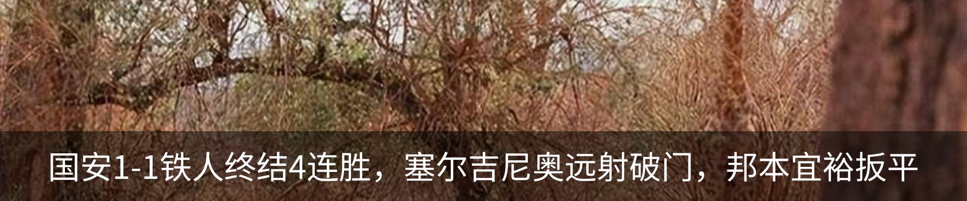 行业资讯