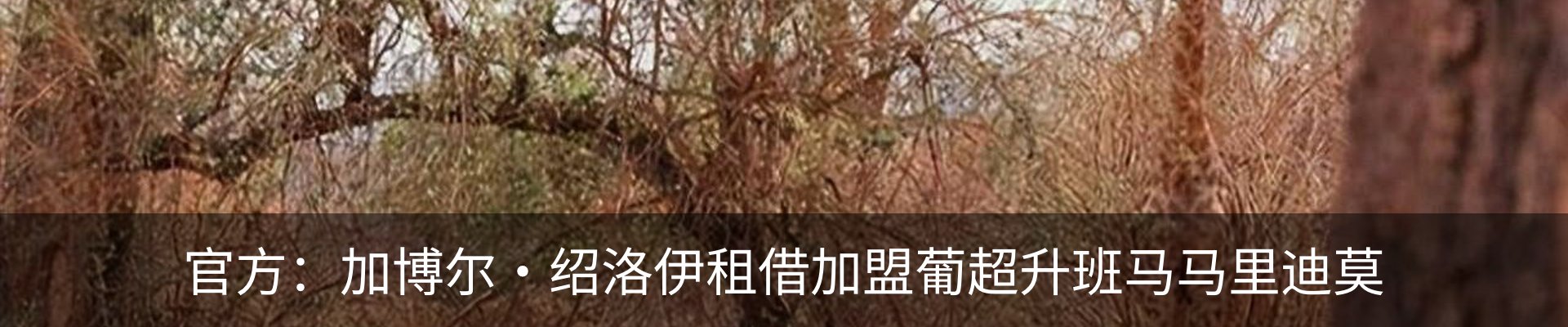 行业资讯